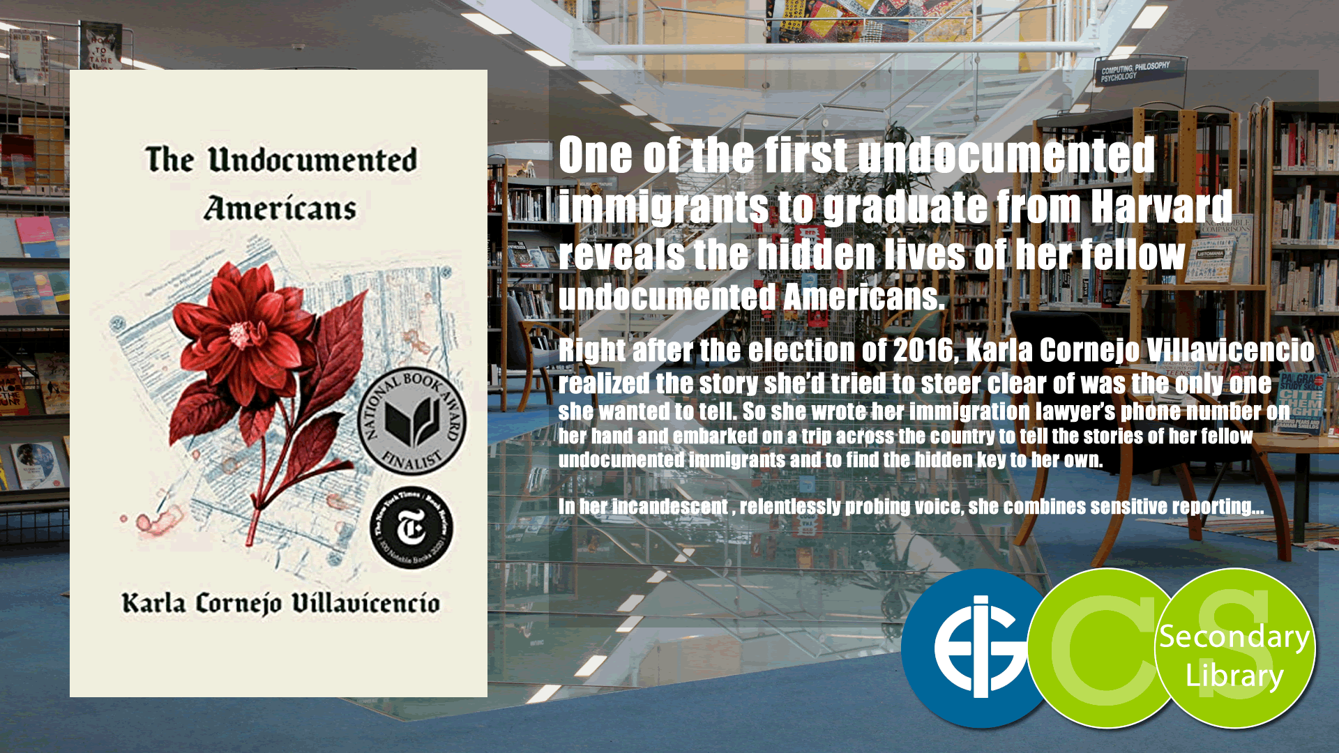 THE UNDOCUMENTED AMERICANS / Karla Cornejo Villavicencio