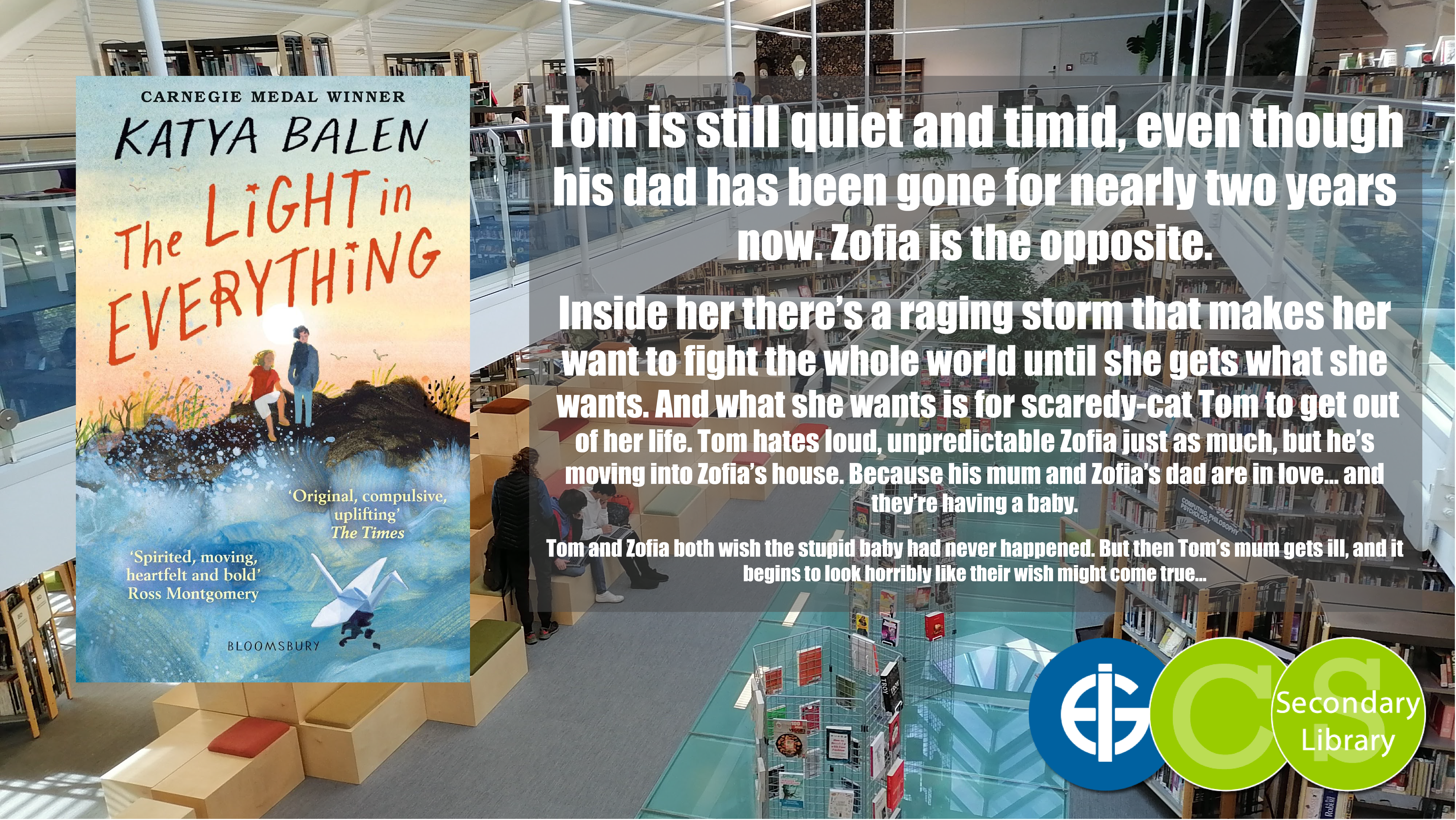 THE LIGHT IN EVERYTHING / Katya Balen