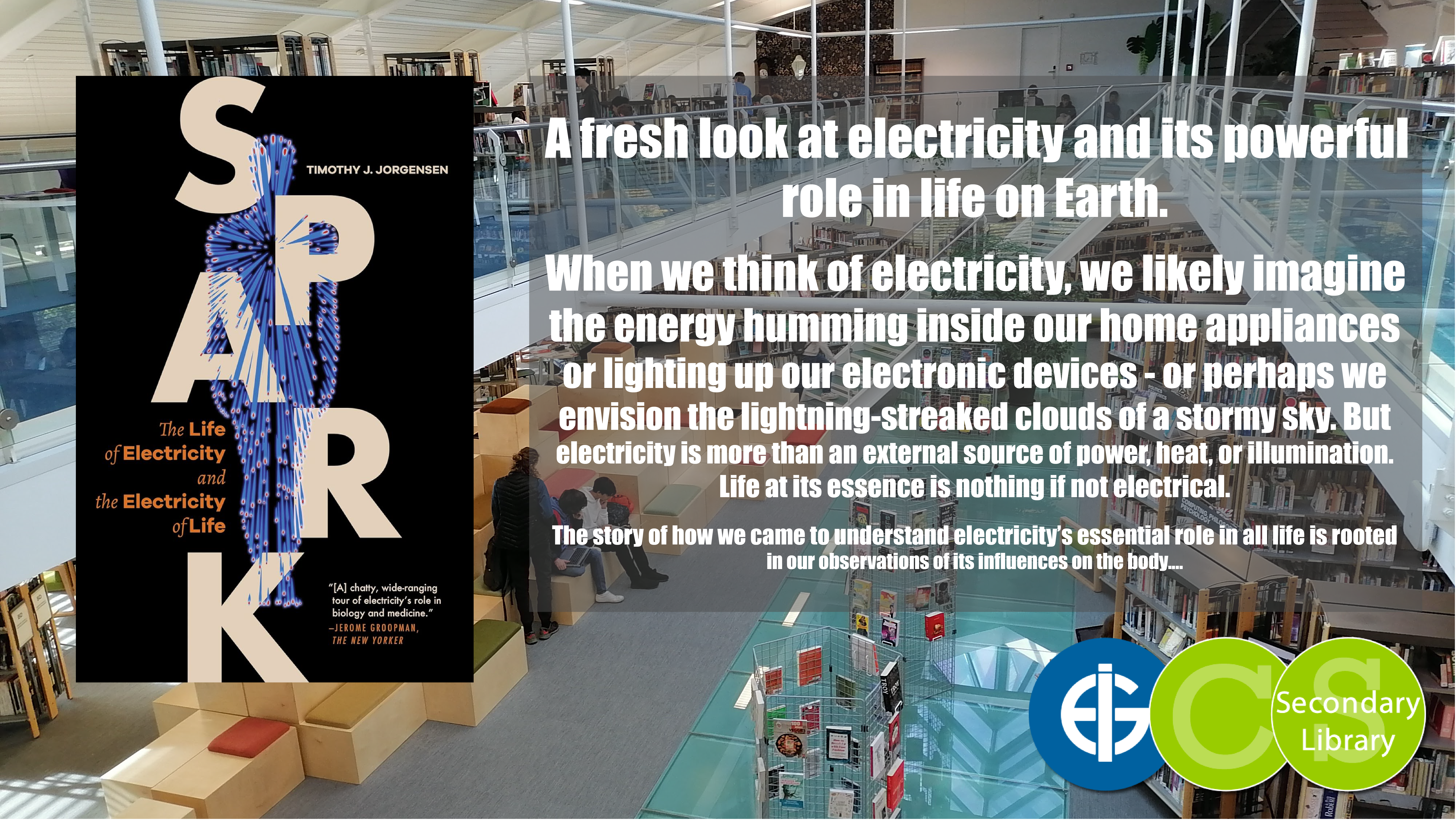 SPARK / Timothy J. Jorgensen