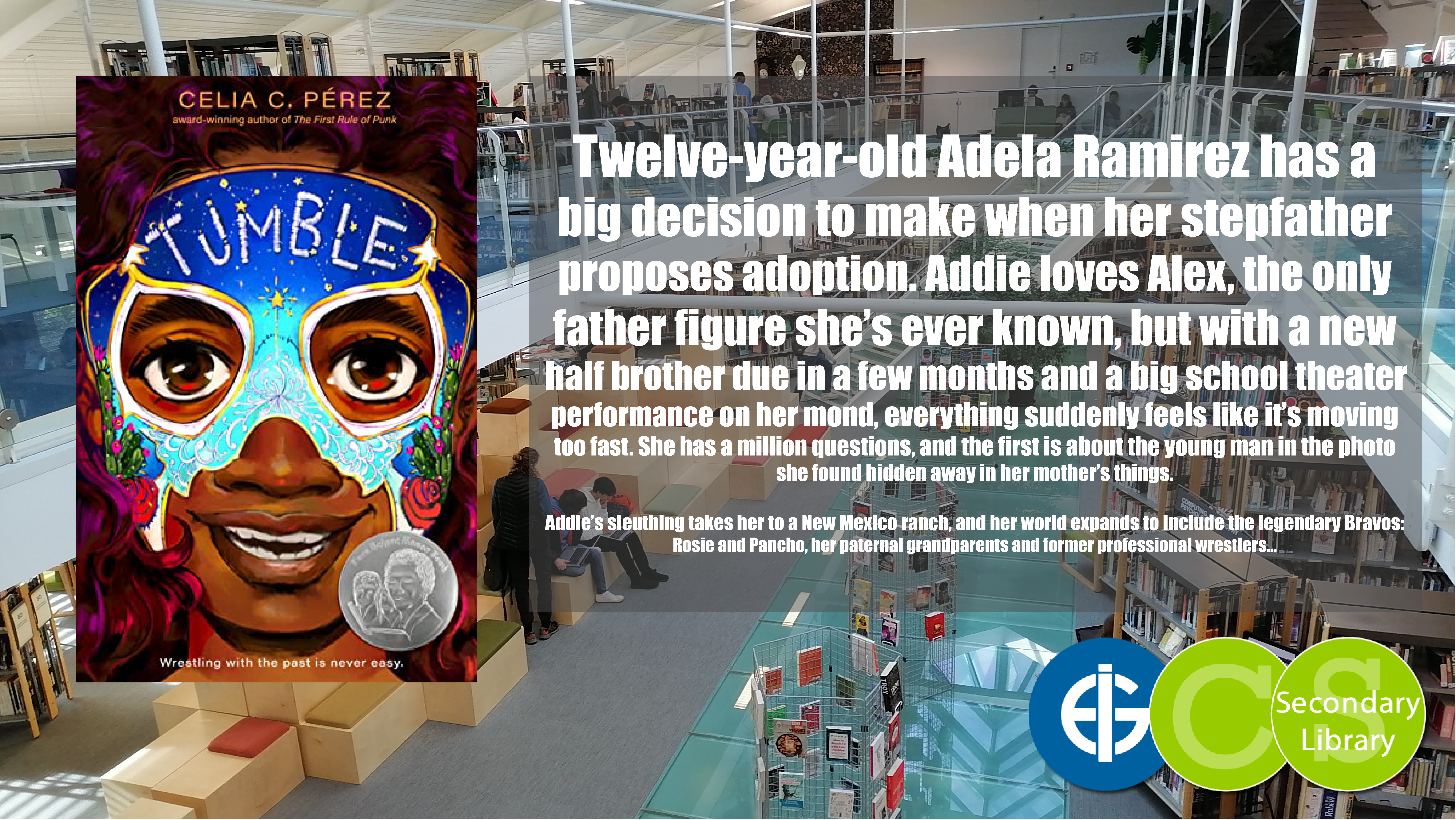 TUMBLE / Celia C. Pérez