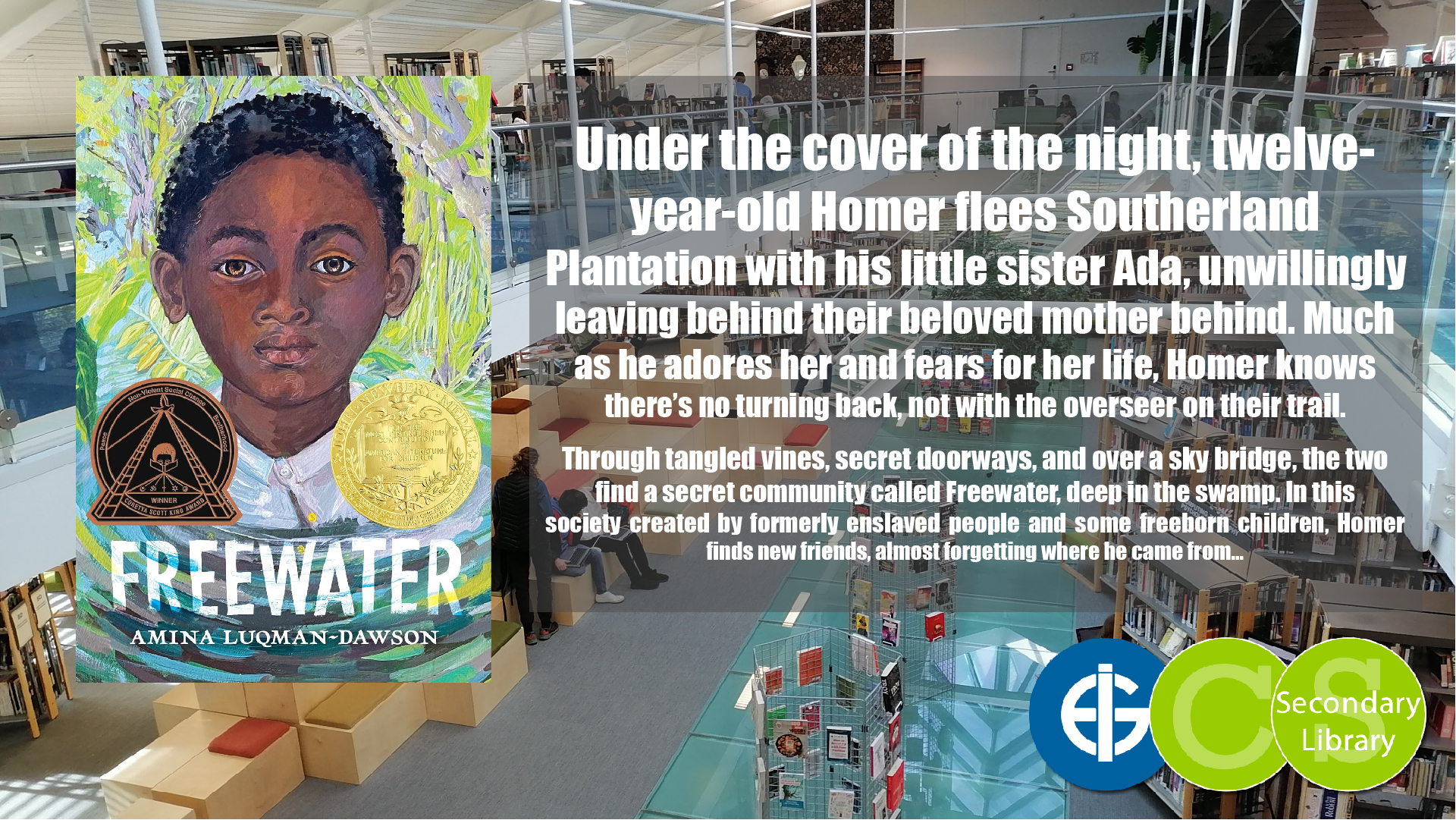 FREEWATER / Amina Luqman-Dawson