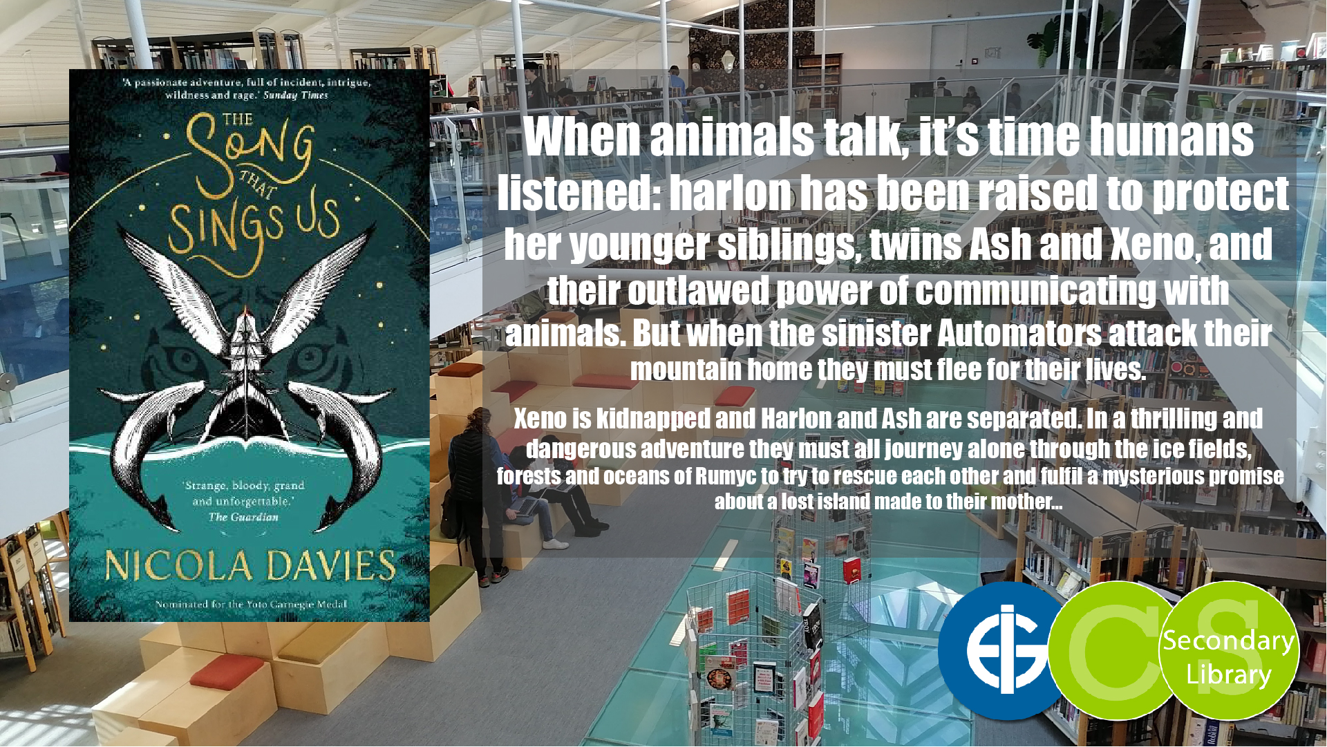 THE SONG THAT SINGS US / Nicola Davies