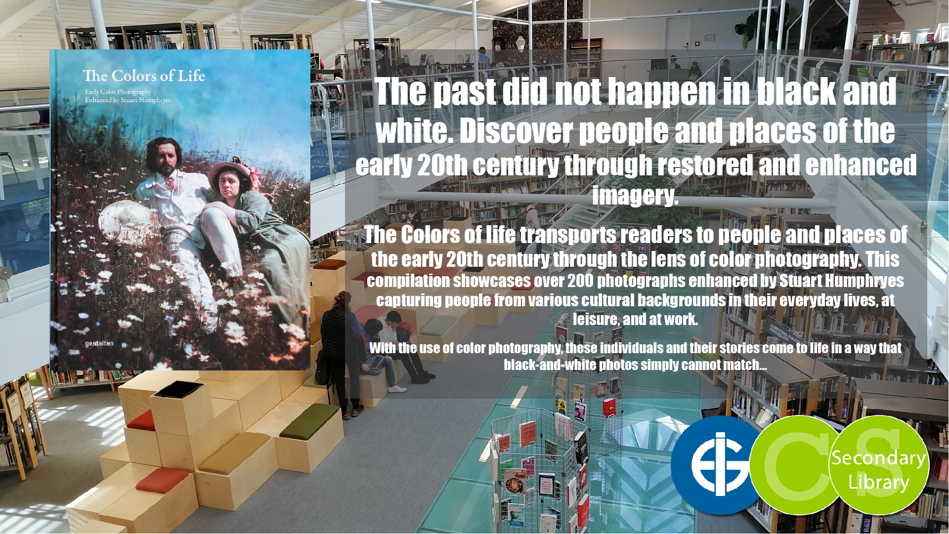 THE COLORS OF LIFE / Stuart Humphryes