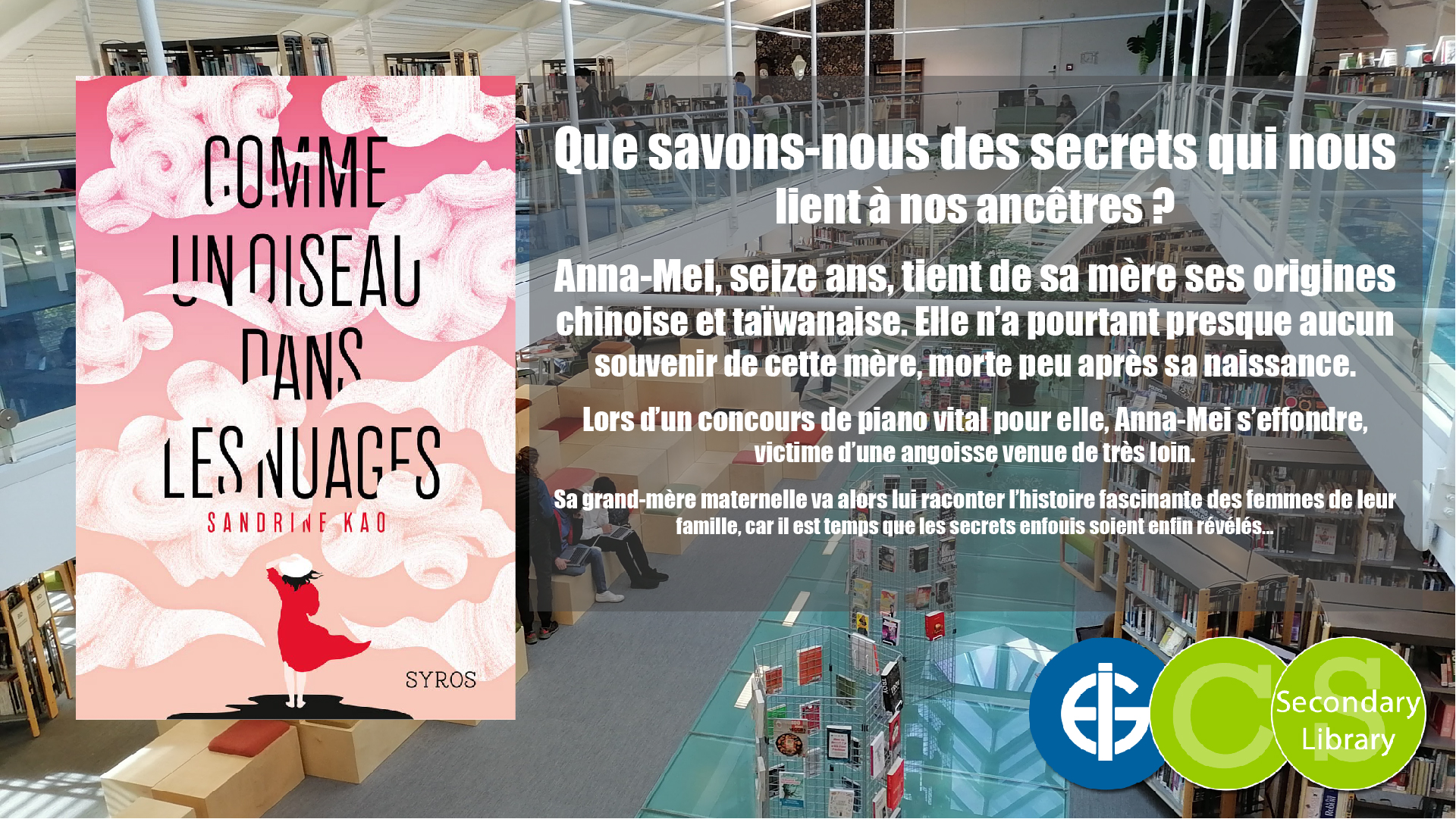 COMME UN OISEAU DANS LES NUAGES / Sandrine Kao