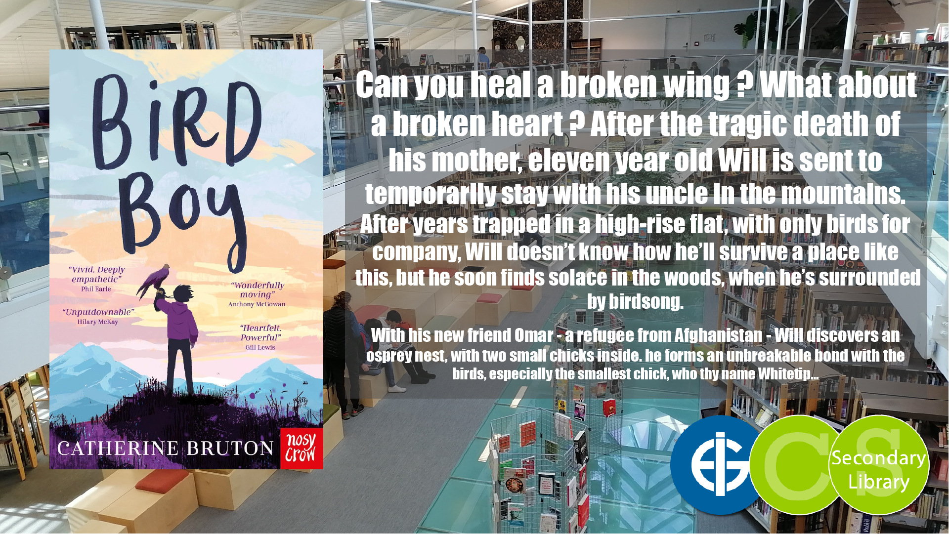 BIRD BOY / Catherine Bruton