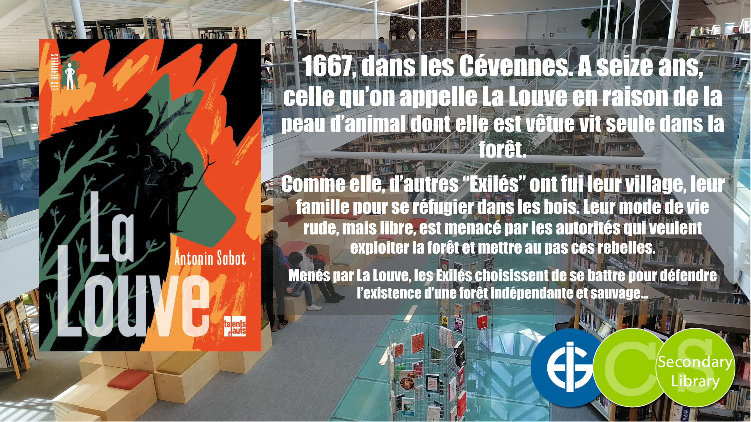 LA LOUVE / Antonin Sabot