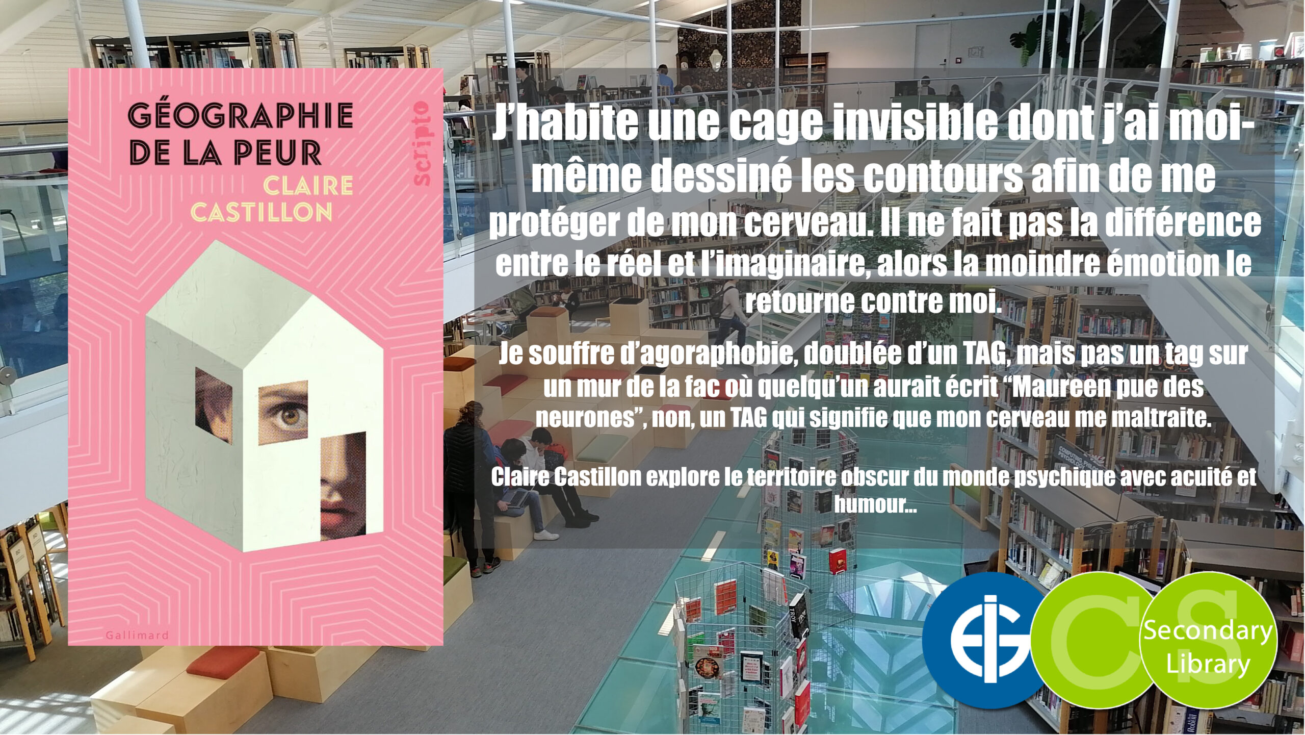 GEOGRAPHIE DE LA PEUR /Claire Castillon