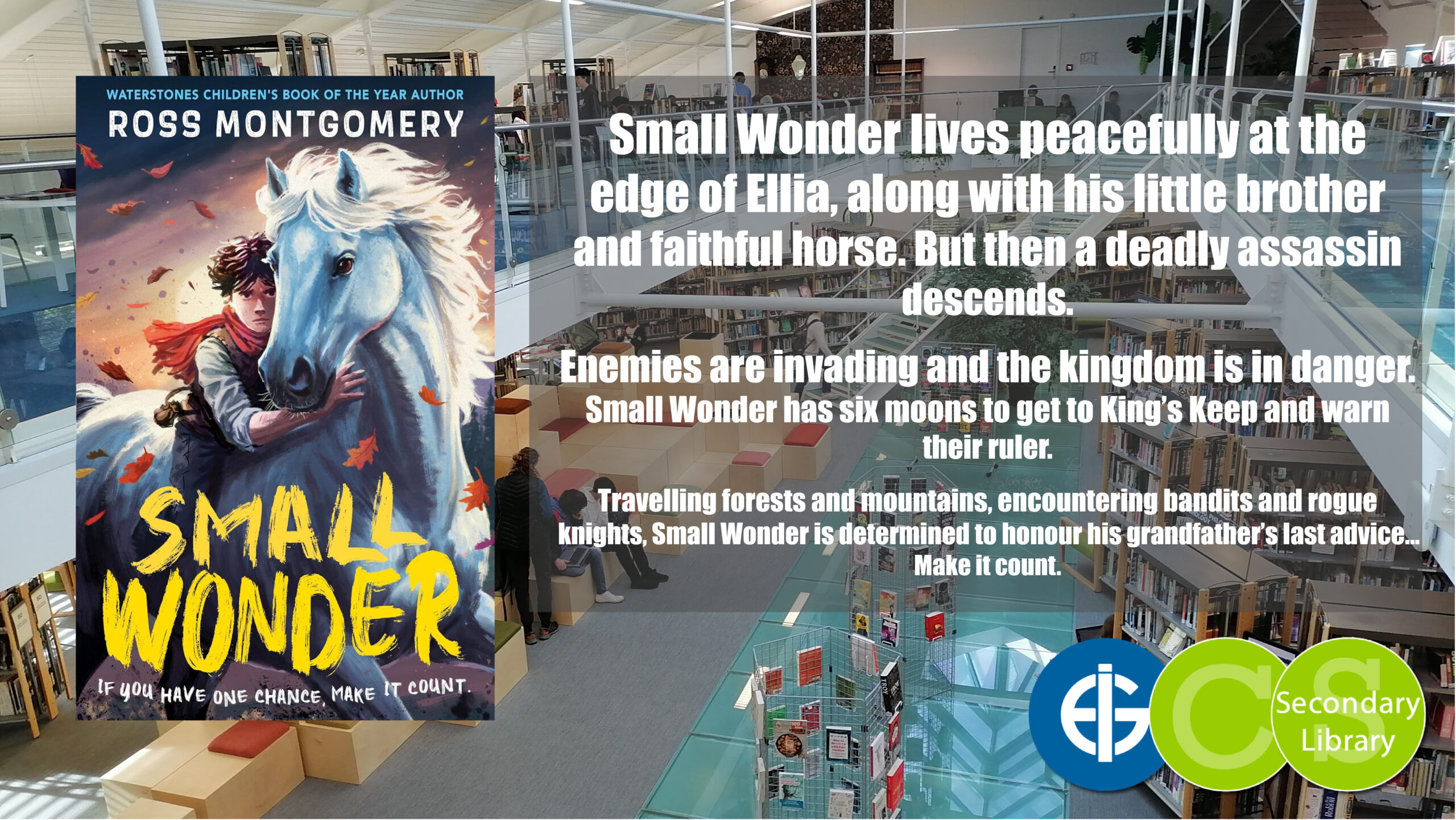 SMALL WONDER / Ross Montgomery