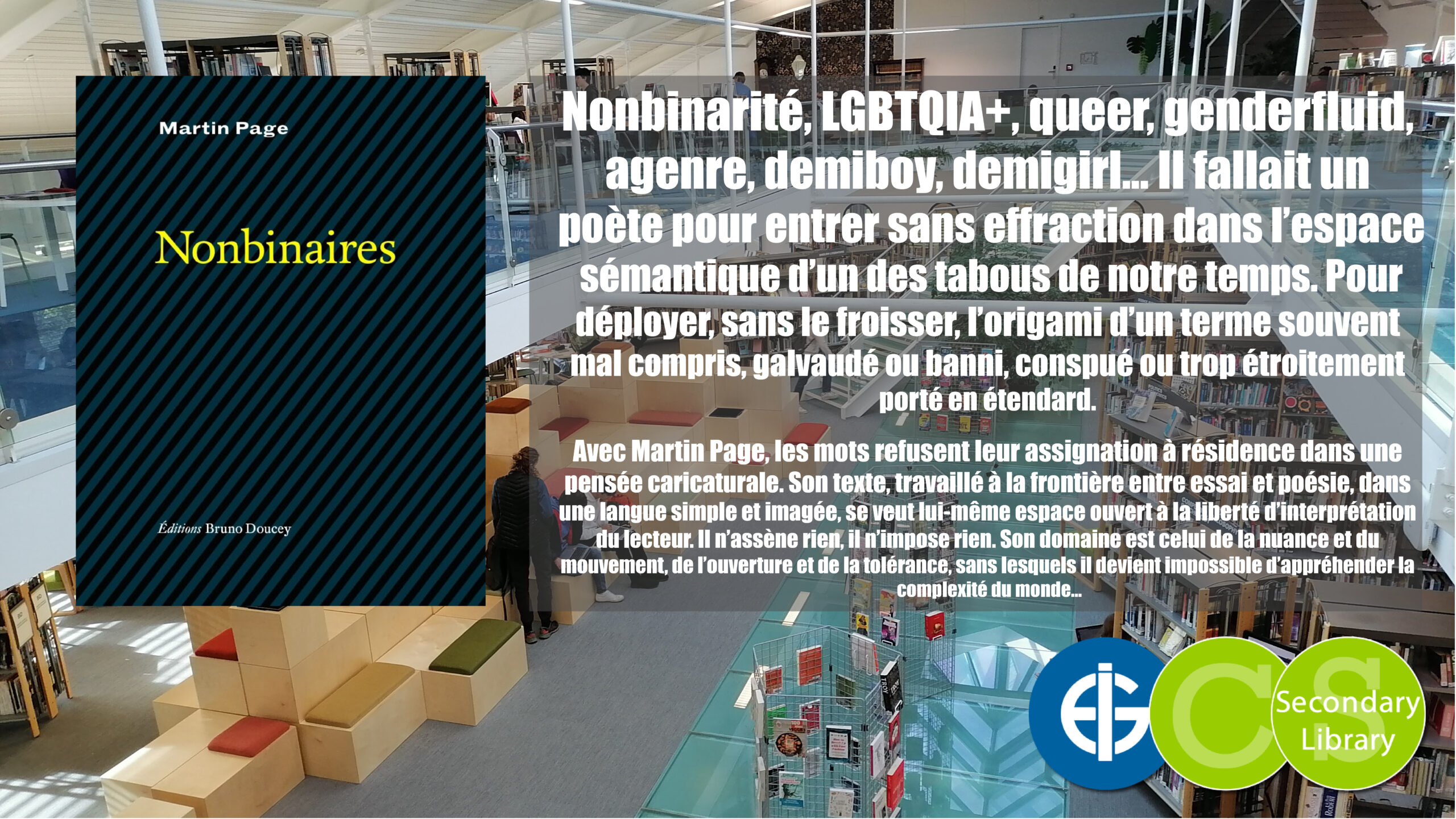 NONBINAIRES / Martin Page